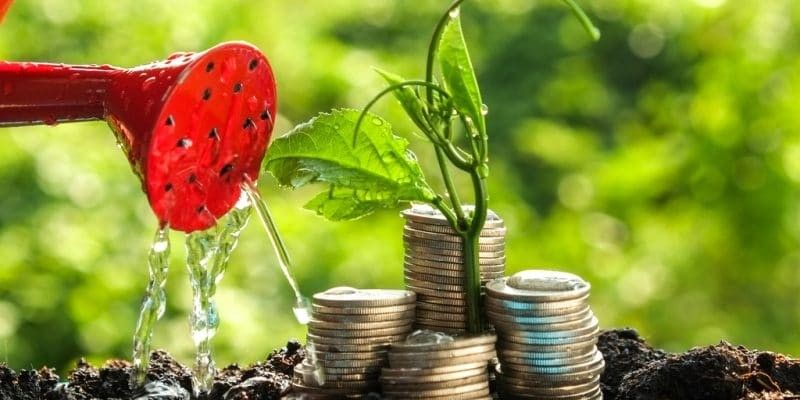 A watering can pouring water on money that&#039;s growing like a plant.